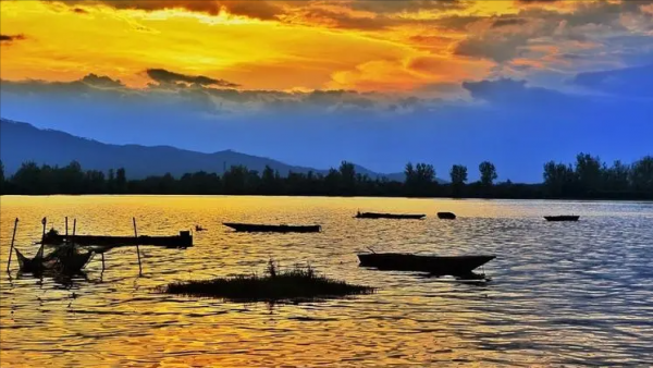 104歲農民，去世遺言驚動政府調查，塵封檔案揭露身份，讓人敬佩