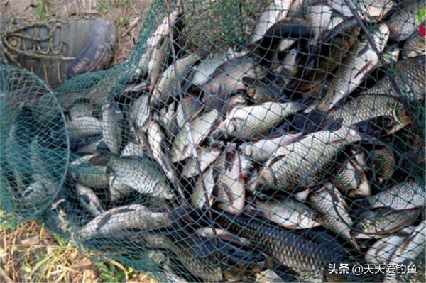 冬季釣魚，什麼風向出魚這是有規律的，不是什麼風向魚都開口