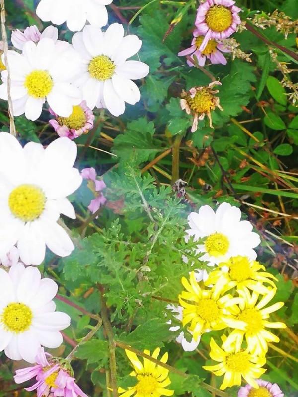 太行山最美的秋色在這裡