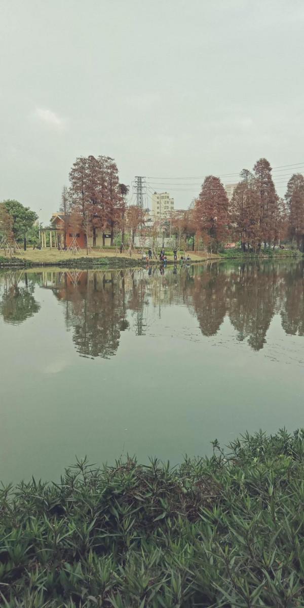 你一天垂釣，釣的是什麼？