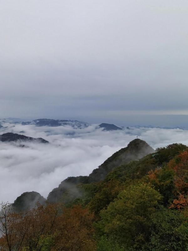 王屋山雲海 王屋山雲海