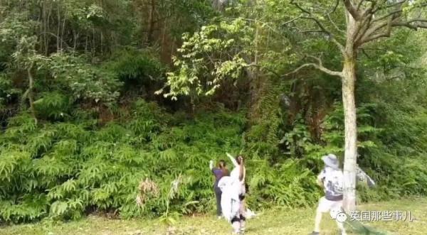 小奶狗被野猴&quot;綁架&quot;，在樹上餓了整整3天終於得救