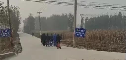 奇葩！蔬菜價格大漲，招引“偷菜團”下鄉，菜農損失慘重，咋回事