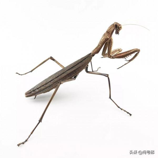 分子生物學家創造出錯綜複雜的金屬雕塑，將科學與藝術完美融合