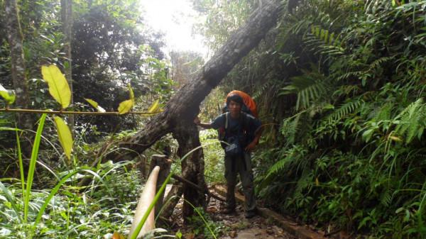 小夥孤身徒步至邊境深山，欲探秘三國邊境，深夜踏空險些跌落山崖