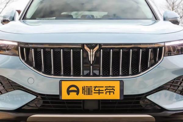 想買操控感強的SUV,百公里加速4.5s,配前後獨懸,解讀嵐圖FREE 想買操控感強的SUV,百公里加速4.5s,配前後獨懸,解讀嵐圖FREE