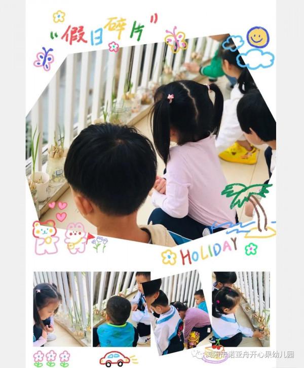 諾亞舟開心果幼兒園讓多元化課程——點亮快樂童年