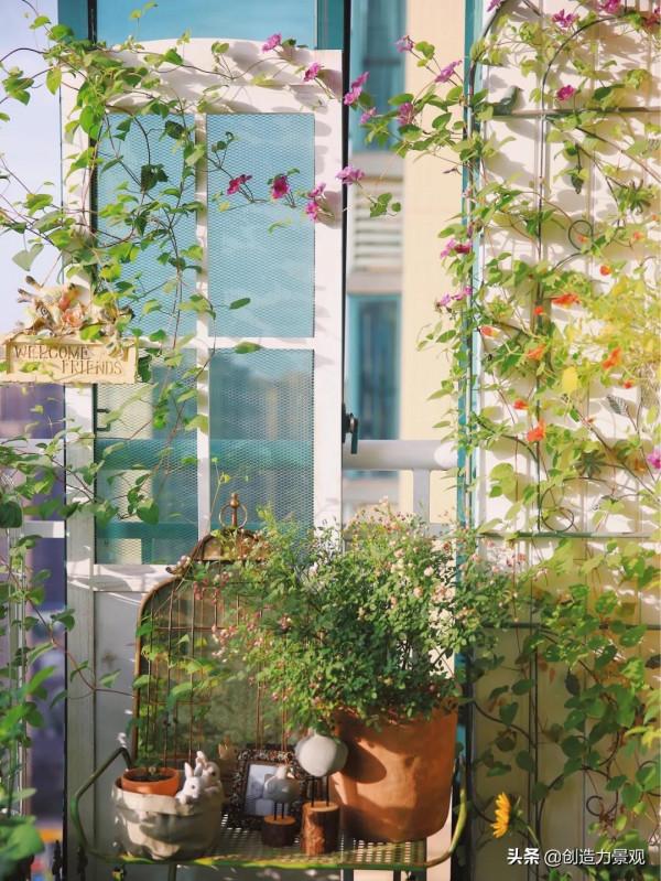 5平米的陽臺，改造之後種滿了花，居然可以美成這樣