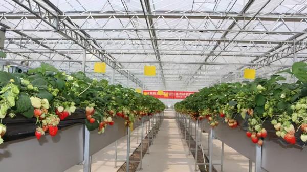設施園藝智慧化發展趨勢與路徑 設施園藝智慧化發展趨勢與路徑