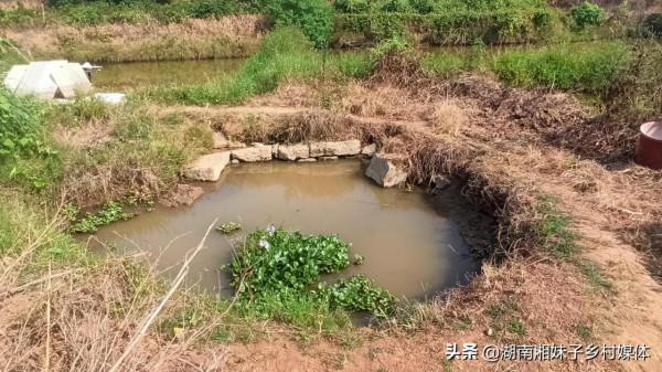 太奇怪了,湖南有一口五百多年的水井為什麼突然幹了? 太奇怪了,湖南有一口五百多年的水井為什麼突然幹了?