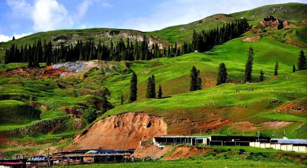 分享大美新疆 景色怡人 美美美