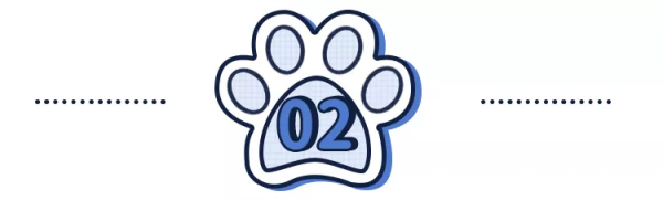 免費領養布偶貓?這是不是一個騙局 免費領養布偶貓?這是不是一個騙局