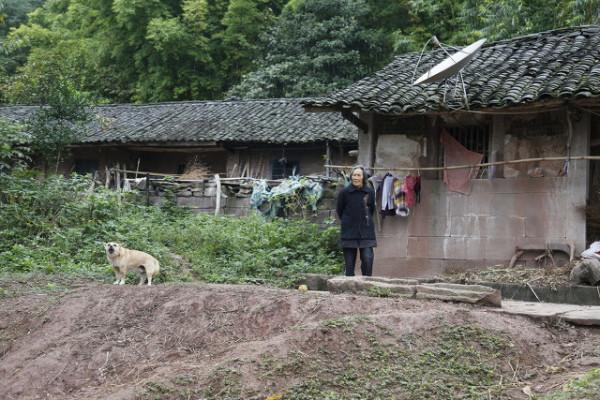 奔小康生活小故事