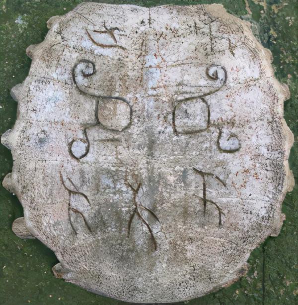 4860歲的龜殼、獸牙、烏木