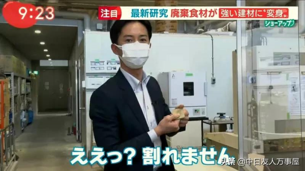 用白菜蓋房子，當作建材是混凝土的４倍，不但環保還可以拿來吃？