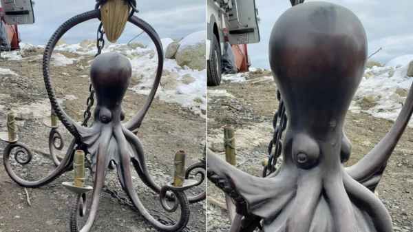 網友們在舊貨店發現的各種寶貝！一個比一個驚喜哇…