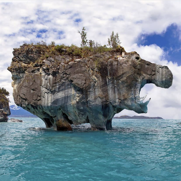 巧奪天工的大自然美景，許多動物渾然天成，莫非大自然也信二次元