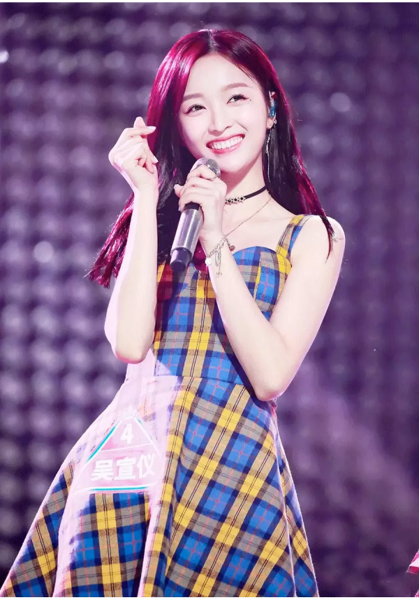 2021辣眼明星 &vert; 愛馬仕哭了，花多少錢才能讓吳宣儀不揹我們的包？