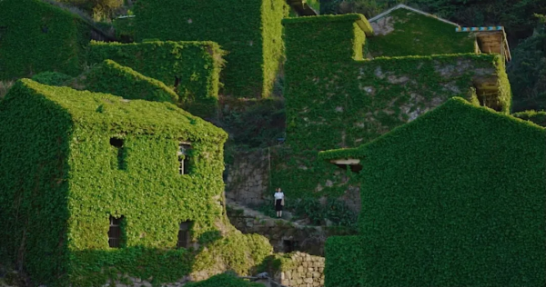 這是一篇幫你玩轉舟山的實用乾貨帖