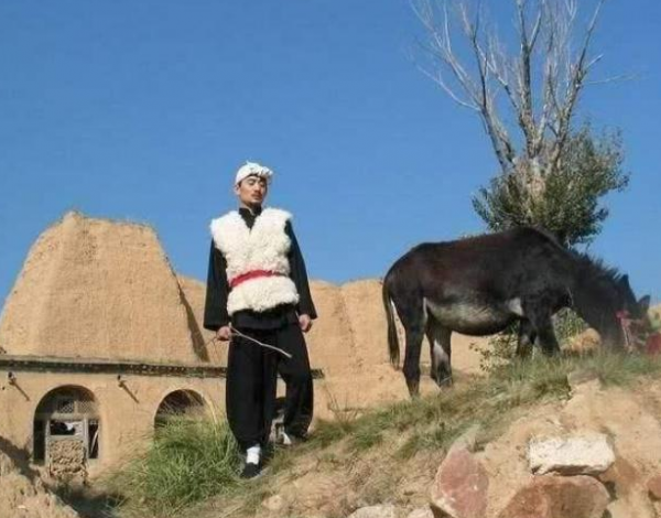 曾比鳳凰傳奇還火的阿寶，紅得快也糊得快，為什麼糊成這個地步？