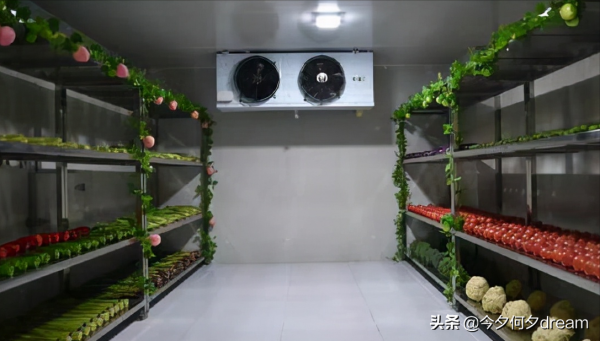 中國軍隊的食堂有多牛？強迫症在這裡都得認輸，我服了