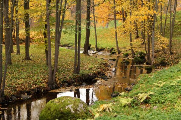 釣鯰魚技巧大揭秘!6大釣法,5大釣點,2個注意事項 釣鯰魚技巧大揭秘!6大釣法,5大釣點,2個注意事項