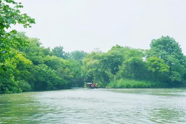 人間四月芳菲盡,西溪繁花始盛開 人間四月芳菲盡,西溪繁花始盛開
