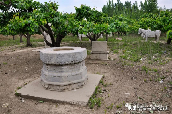 村民把祖墳圈進果園，這位祖先竟是康熙老師，官至紀委副書記