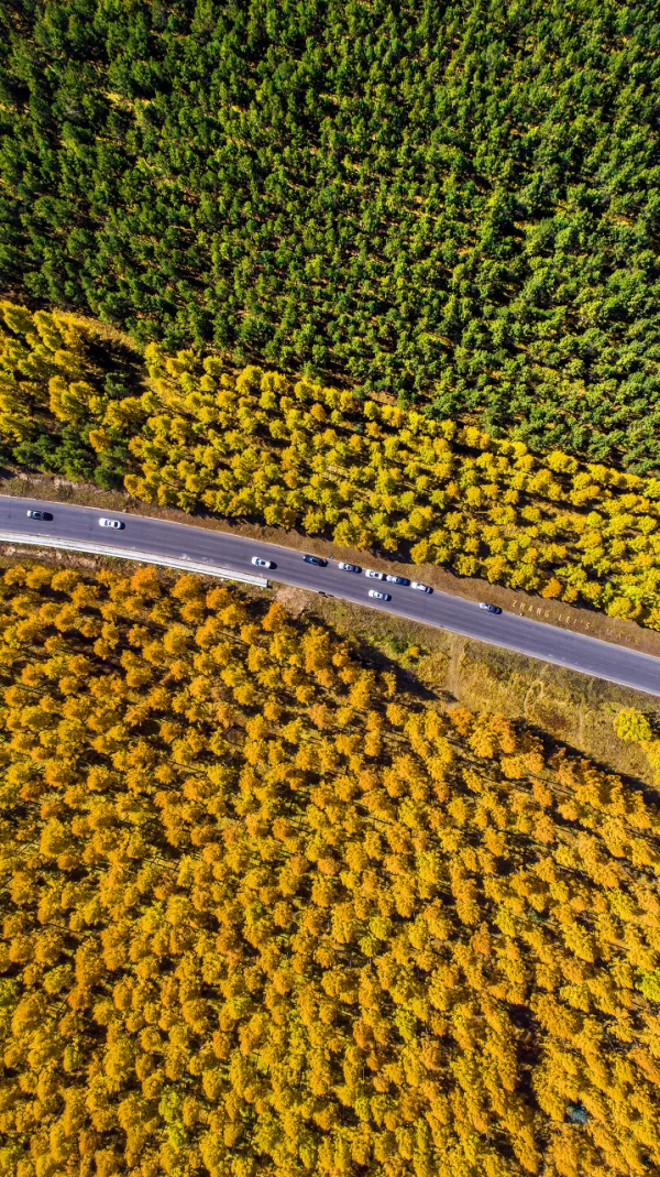 預測！2022必火的自駕旅行清單！先收藏