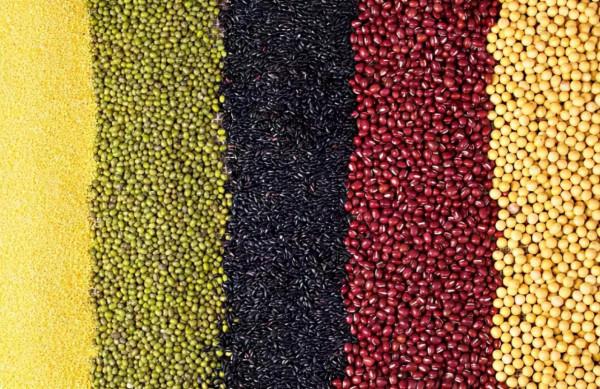 鍾南山院士推薦10種超級健康食物，抗疾病，增體能