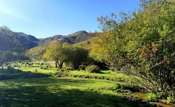 釣魚、徒步、騎馬、篝火晚會......中秋,我們相約巴依木扎 釣魚、徒步、騎馬、篝火晚會......中秋,我們相約巴依木扎