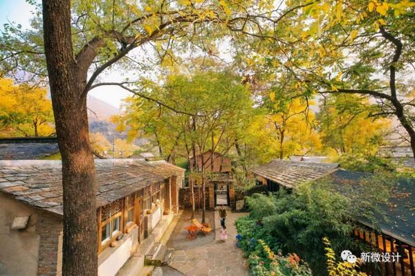 100家中國最美的民宿院子