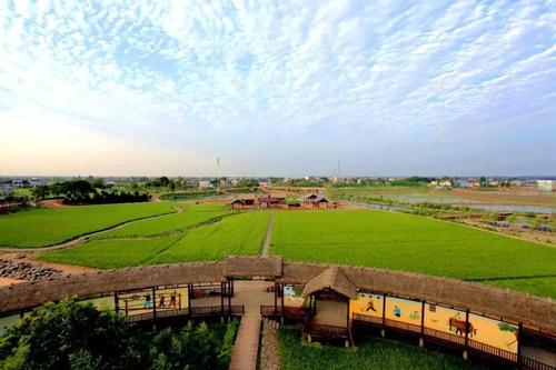 2019年，400噸中央儲備糧突然不翼而飛，是有內鬼還是江洋大盜？