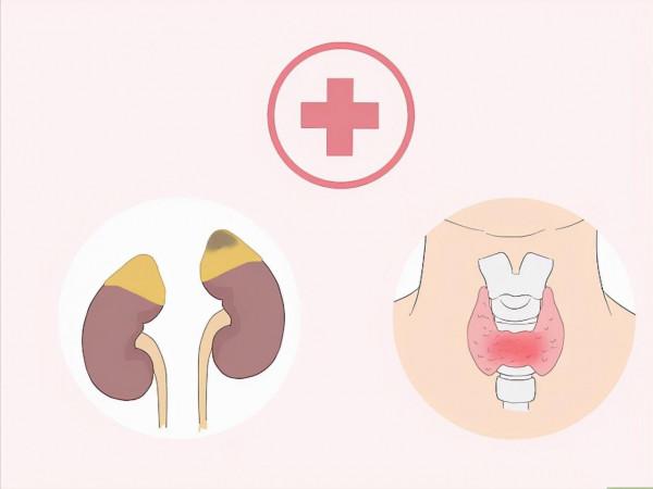 如何減掉臉上的贅肉? 如何減掉臉上的贅肉?