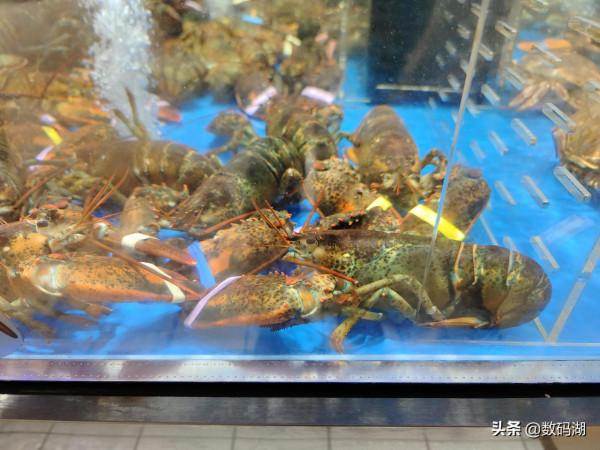 vivo X70 Pro&plus;拍照樣張賞析分享（第3期，有白天和夜景照片）