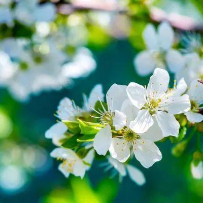 旅遊正文美麗的大自然，多彩的風景美麗的大自然，彩色的大自然快