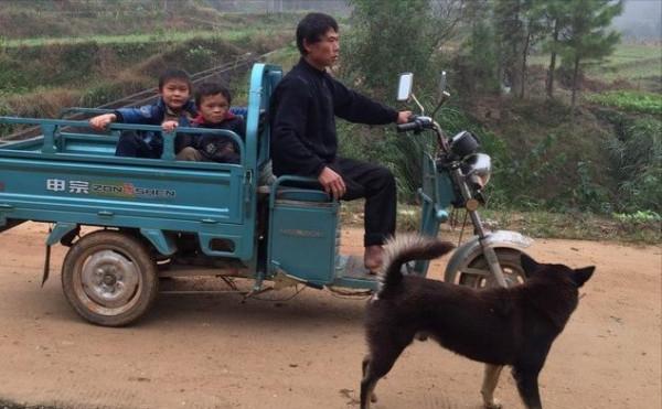 小馬雲，終究還是被資本毀了