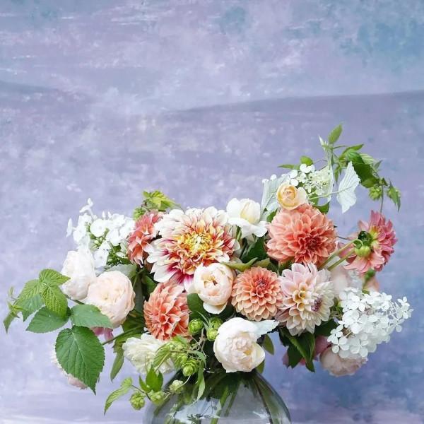 植庫‖豐富多彩的大麗花竟被冠為慘案之名？