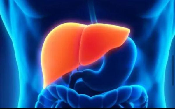 身上出現很多小紅點，不痛不癢是怎麼回事？這些病別心存僥倖