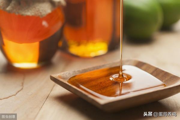 老獸醫：桑葉煮水+蜂蜜，方法簡單，一招去除養雞人3大煩惱