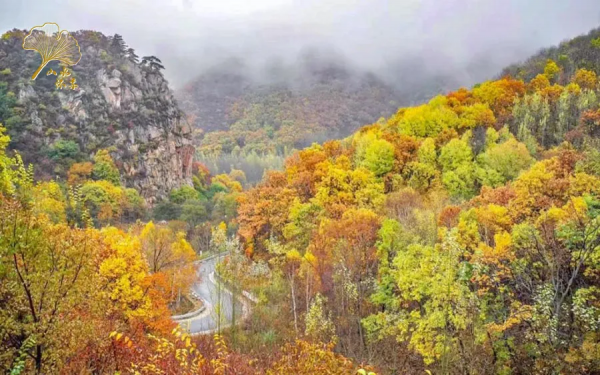 【玩轉懷柔】2021懷柔賞秋攻略出爐！一個字，絕！