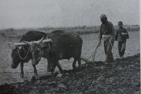 曬曬我的處女作:兩首小詩 曬曬我的處女作:兩首小詩