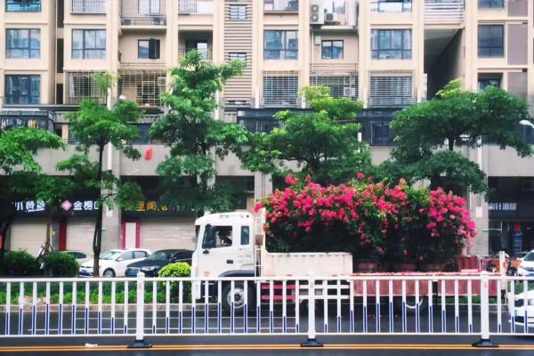 與愛有關或無關的故事