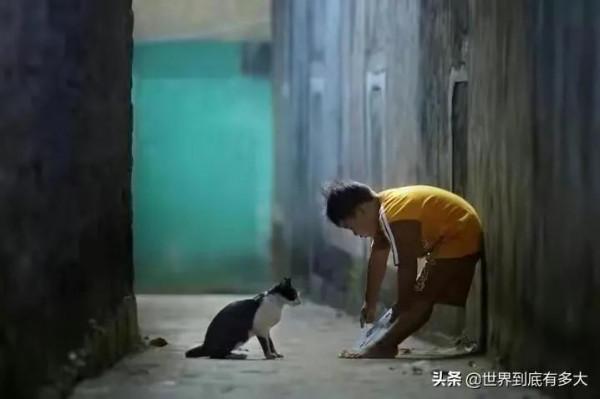 東南亞最大的國家“印尼”冷知識，帶你看看真實的印尼