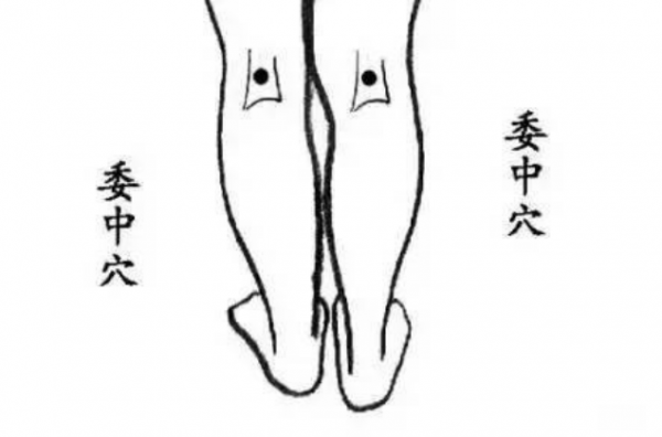 陽氣的強弱——決定人體抵抗力的強弱 陽氣的強弱——決定人體抵抗力的強弱