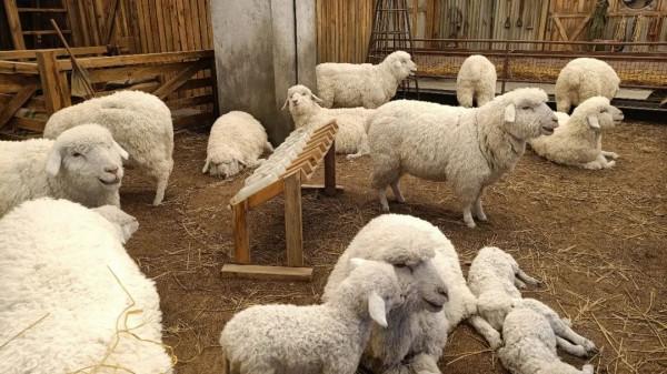 元旦北京小遊記（2022.1）