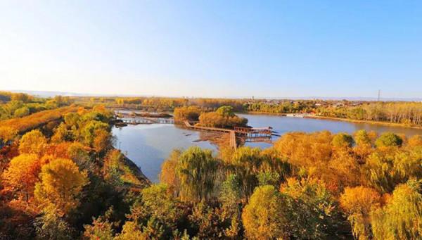 請君入孝義 邂逅秋天的浪漫