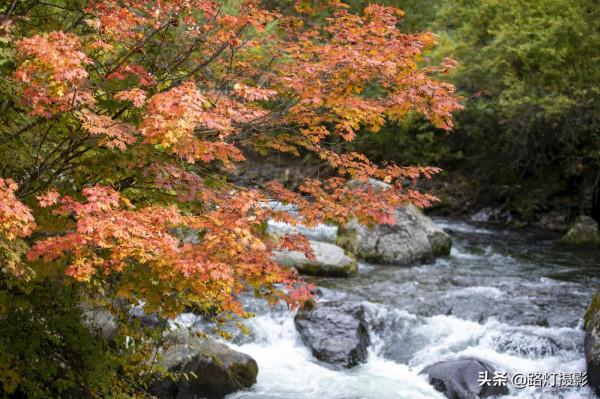 9月第一波秋色來啦!北方最美的6個好去處,開啟自駕遊之旅 9月第一波秋色來啦!北方最美的6個好去處,開啟自駕遊之旅