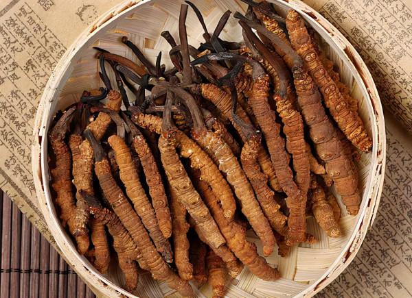 冬季養生正當時丨疫情期間的冬季進補,應該這麼吃! 冬季養生正當時丨疫情期間的冬季進補,應該這麼吃!