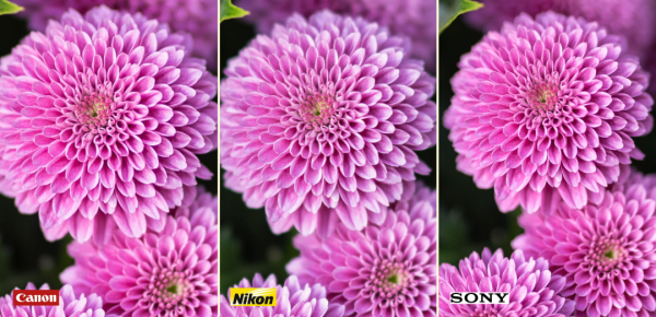 「御成測評」標準定焦哪家強？索佳尼50 1.2對比橫評